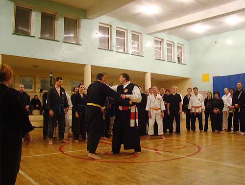 Festiwal Sztuk Walki im. Toshimichi Takeuchi