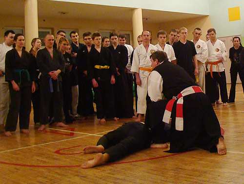 Festiwal Sztuk Walki im. Toshimichi Takeuchi