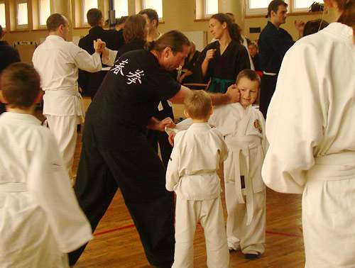 Festiwal Sztuk Walki im. Toshimichi Takeuchi
