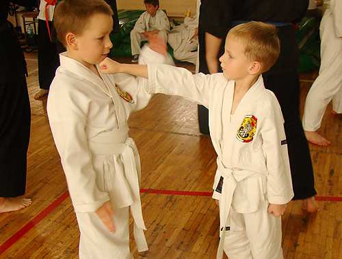 Festiwal Sztuk Walki im. Toshimichi Takeuchi